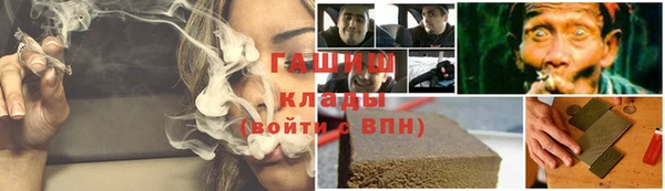трава Няндома