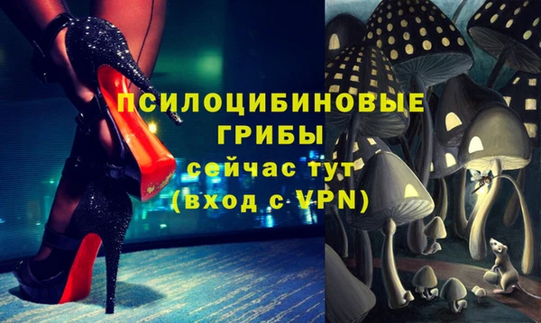 mdpv Нягань