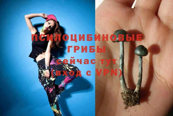 соль курить ск Абаза